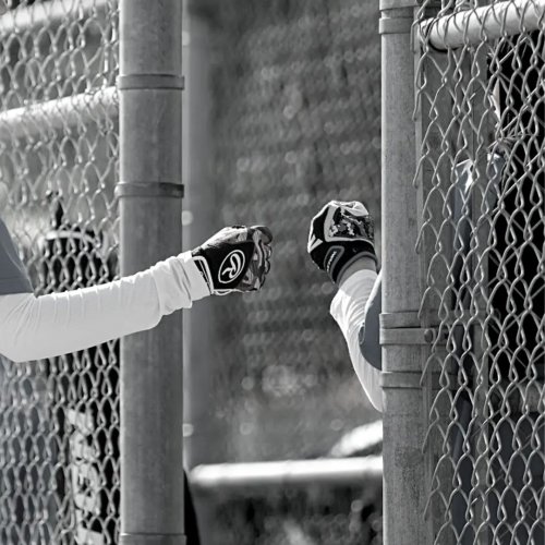 Photo post from sisterhoodsoftball.