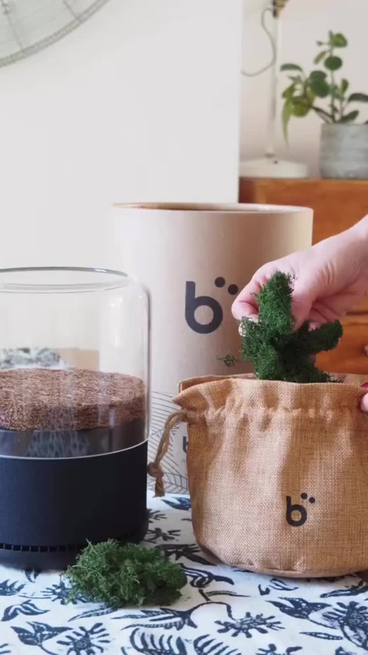 Video post from briiv.natural.