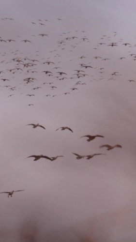 Video post from northernskiesoutfitters.