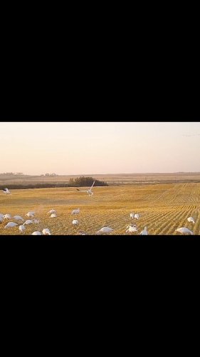 Video post from northernskiesoutfitters.