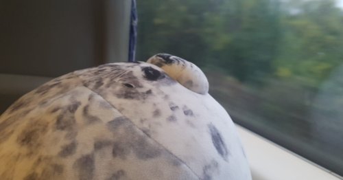 Photo post from kasarstays.