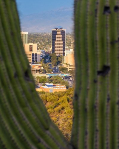 Photo post from visittucson.