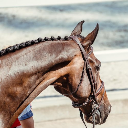 Carousel post from fei_global.