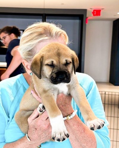 Carousel post from american_re_partners.