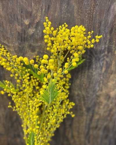 Photo post from blomsterborsen.