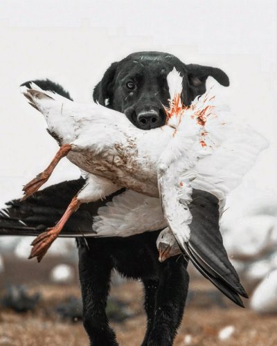 Photo post from northernskiesoutfitters.