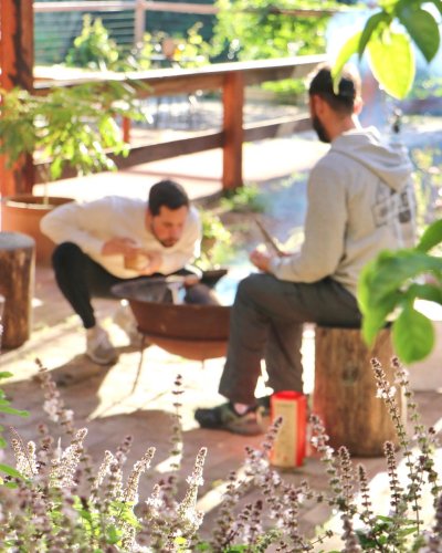 Photo post from currumbinvalleyharvest.