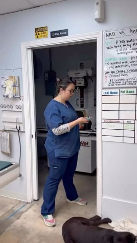 Video post from familyanimalhospitalcm.