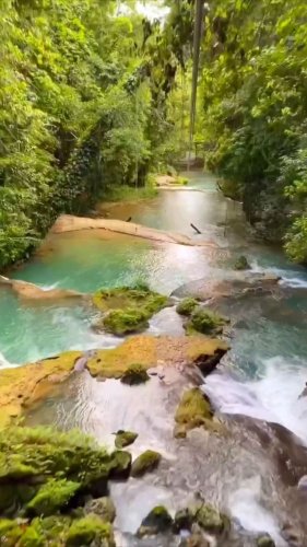 Video post from thingstodoinjamaica.