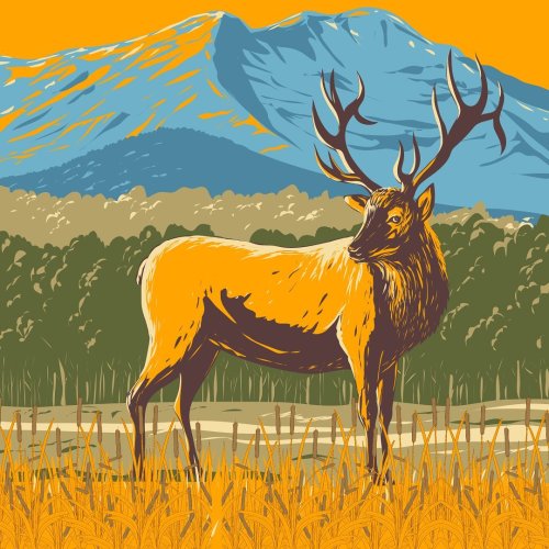 Photo post from nwfoutdoors.