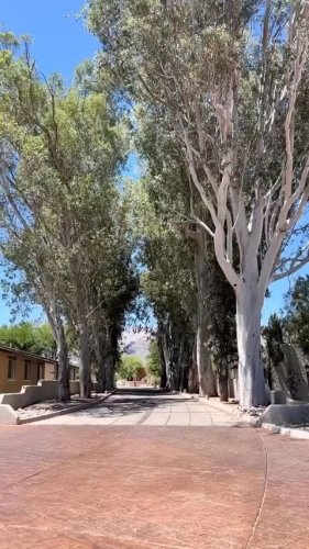 Video post from visittucson.