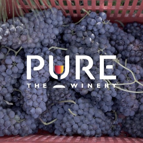 Photo post from purethewinery.