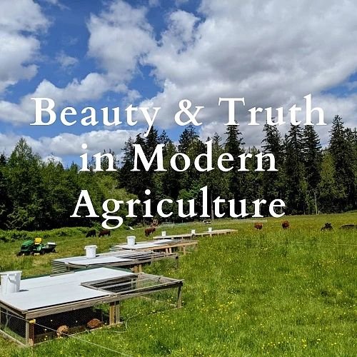 Photo post from hungryhollowfarm.