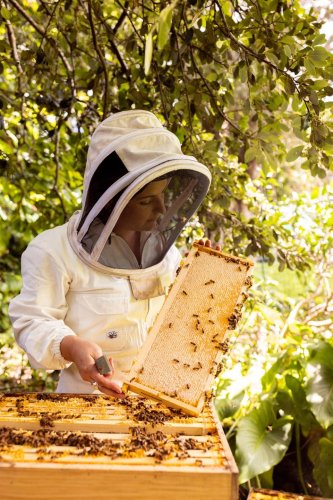 Carousel post from comvita_nz.