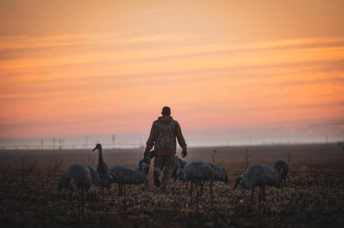 Photo post from northernskiesoutfitters.