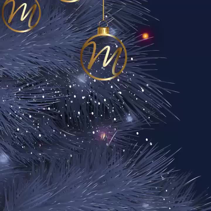 Video post from merrylim_grand_paris.