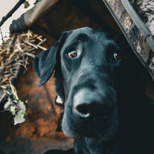 Photo post from northernskiesoutfitters.