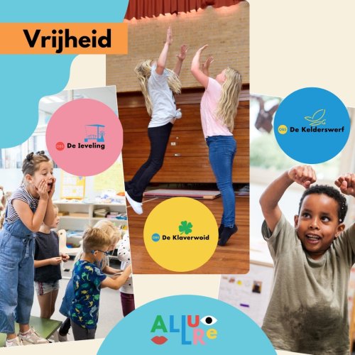 Photo post from allurescholen.