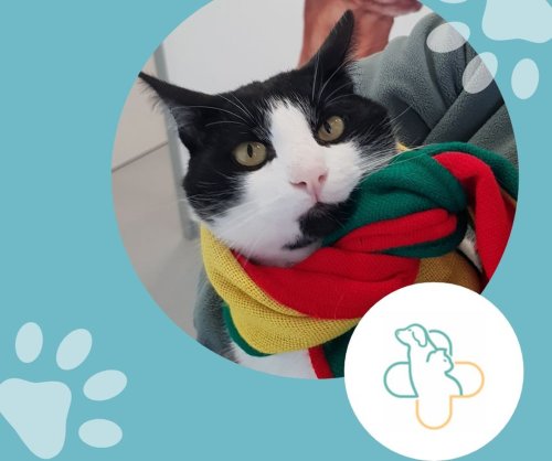 Photo post from clinica_veterinaria_dourosul.