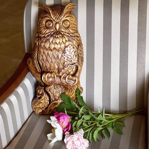 Photo post from padarunak.fond.