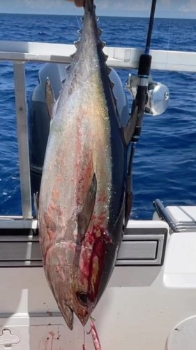 Video post from ejs_fishing_charters.