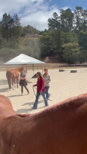 Video post from __amber_lydic__.