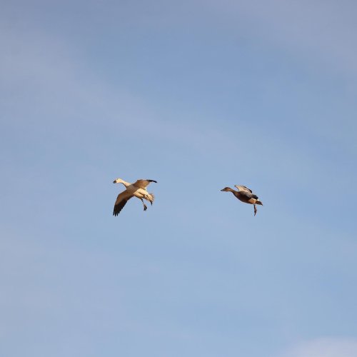 Photo post from northernskiesoutfitters.