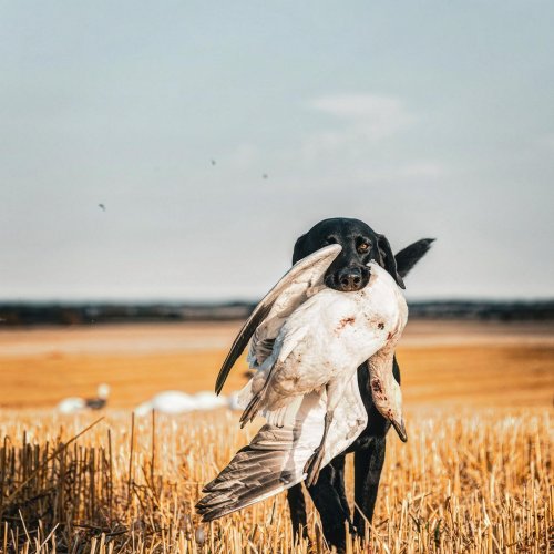 Photo post from northernskiesoutfitters.