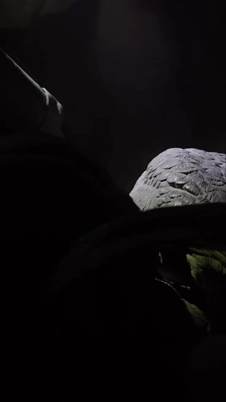 Video post from northernskiesoutfitters.