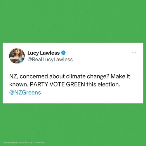 Photo post from nzgreenparty.