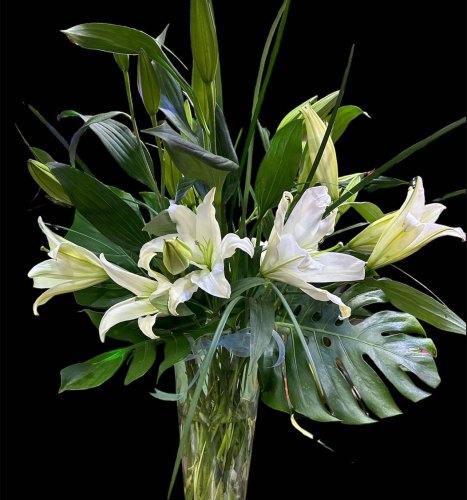 Photo post from la_gifteria.