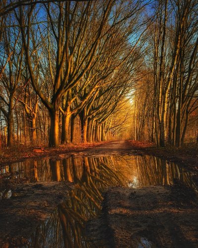 Photo post from visitoirschot.