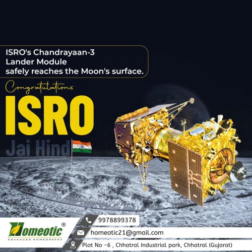 Photo post from homeotic_international.