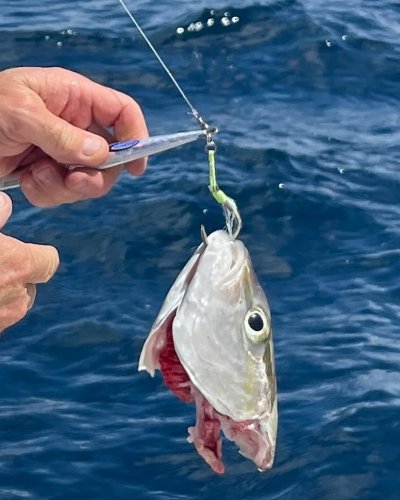 Photo post from ejs_fishing_charters.