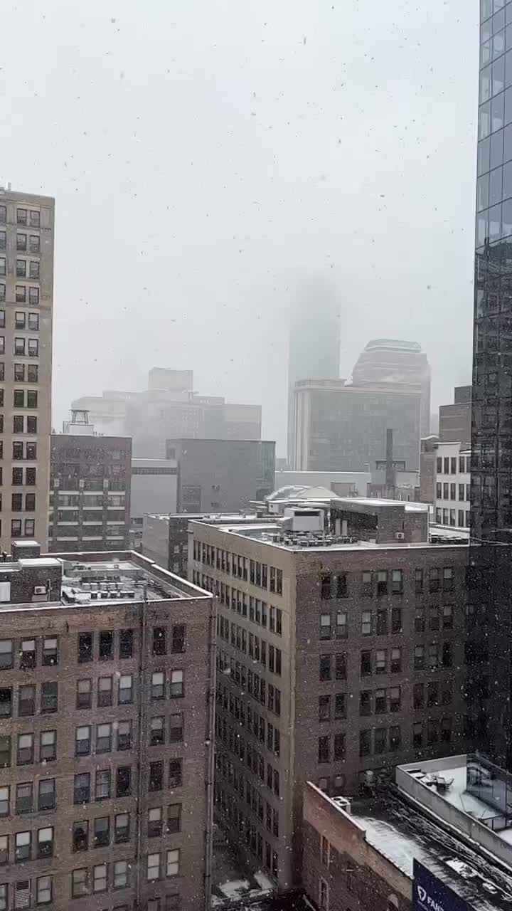 Video post from dwightlofts.