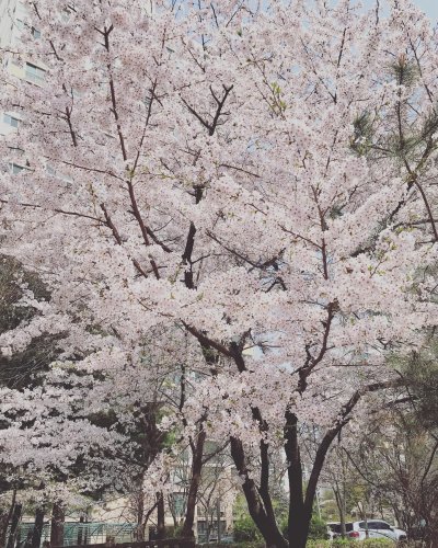 Carousel post from nydreamer7.