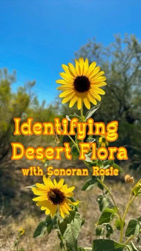 Video post from visittucson.