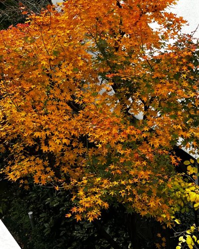 Photo post from akaido.
