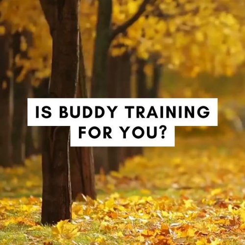Video post from claradepont.