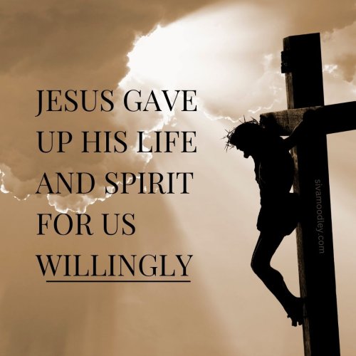 Photo post from drsivamm.