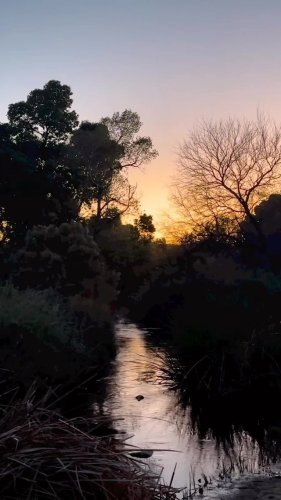 Video post from visittucson.