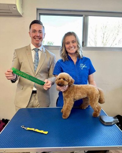 Carousel post from k9playtimedoggydaycare.