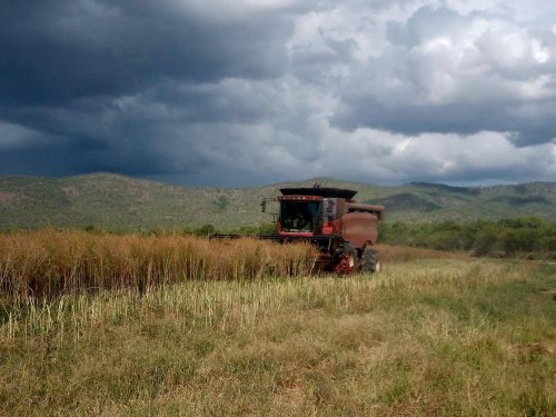 Photo post from howefarming.