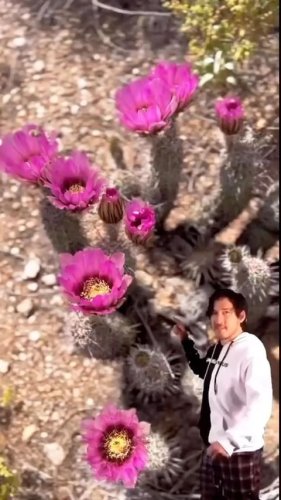 Video post from visittucson.