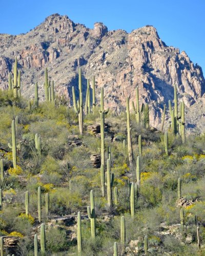 Carousel post from visittucson.