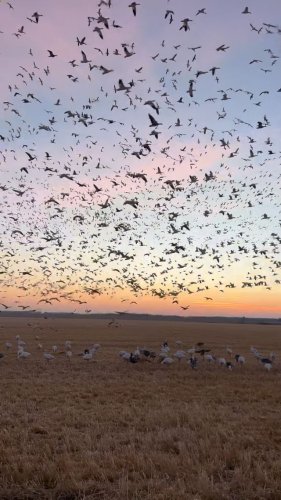 Video post from northernskiesoutfitters.