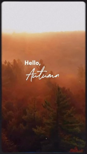 Video post from universaltraveller_my.