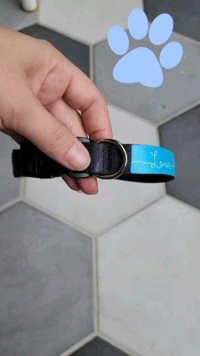 Video post from furrypeeps.