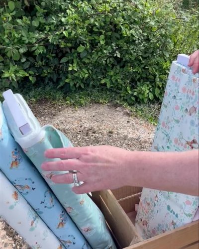 Video post from elephantinmyhandbag.