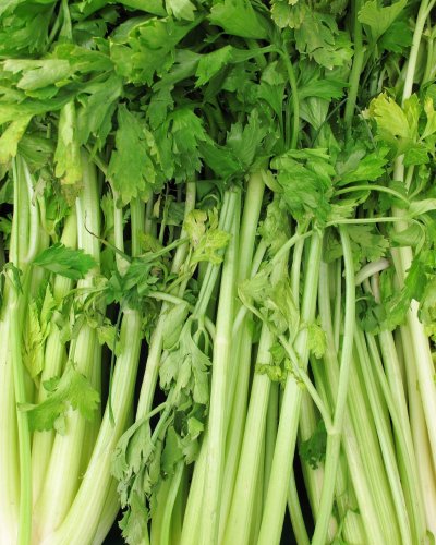 Photo post from farmbox_arizona.